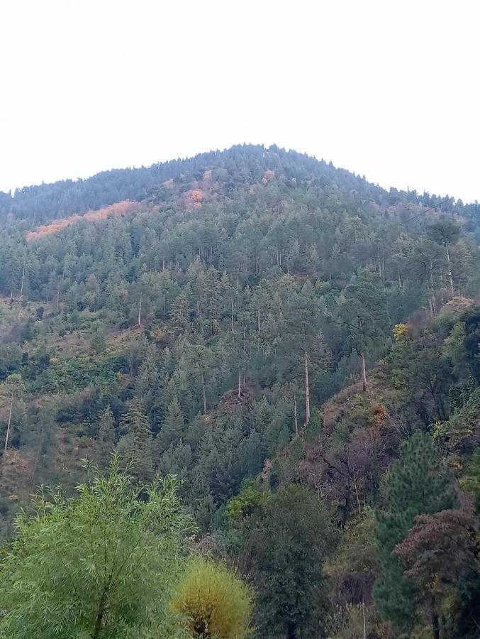 Rrr Resorts Tirthan Valley By Rrr Hotels & Resorts Banjār Eksteriør bilde